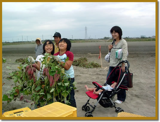 �Ȃ�Ƌ����̈��@��̌�