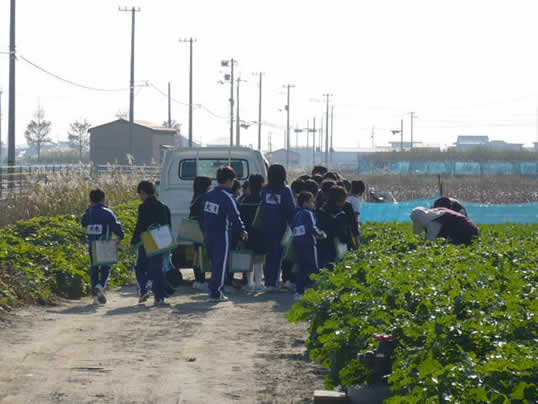 �Ȃ�Ƌ������܂����@�֌��_���̓��L