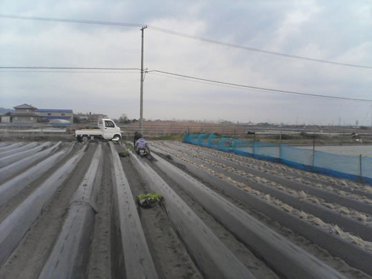 �Ȃ�Ƌ������܂����@�֌��_���̓��L