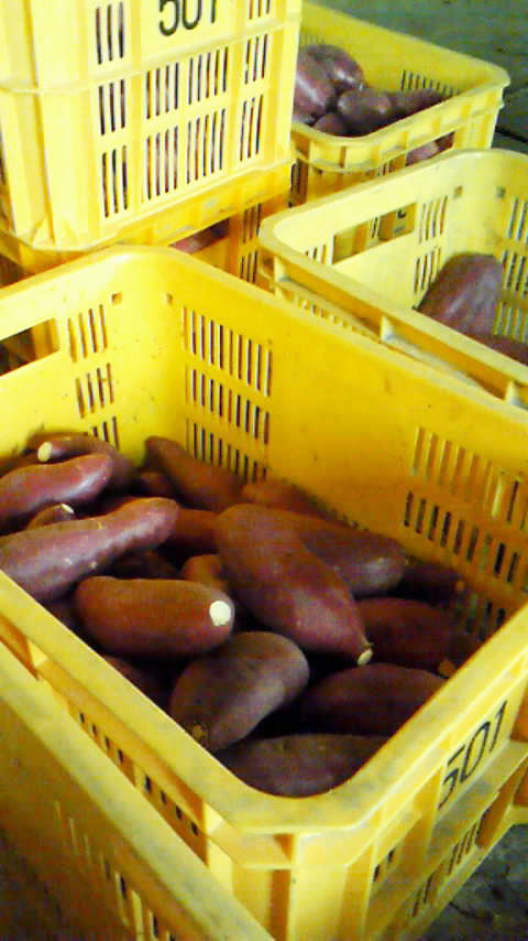 �Ȃ�Ƌ������܂����@�֌��_���̓��L