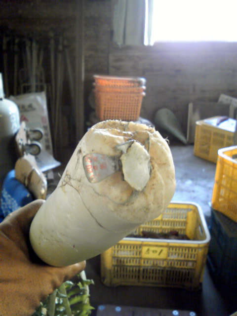 �Ȃ�Ƌ������܂����@�֌��_���̓��L