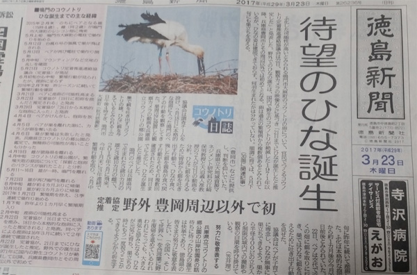 2017�N3��23���i�؁j�҂��ɑ҂����R�E�m�g���̂ЂȂ��a�������悤�ł��I���_�����z�B���Ă���Y�����猩���鏊�ł����߂Â��Ȃ��l�ɂƂ̎��ł��̂Ō�����Ă��܂��B�Ȃ�Ƌ������܂����@�֌��_���̓��L