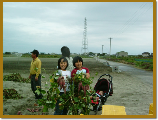 �Ȃ�Ƌ����̈��@��̌�