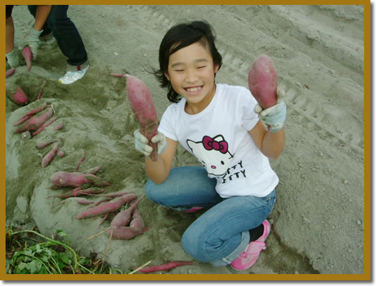 �Ȃ�Ƌ����̈��@��̌�