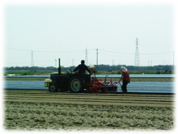 ������E�Ȃ�Ƌ����i�������Y���܂����j�̔̔����Ă܂��B