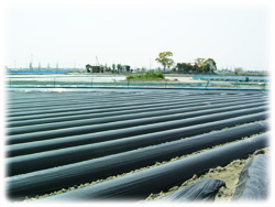 ������E�Ȃ�Ƌ����i�������Y���܂����j�̔̔����Ă܂��B